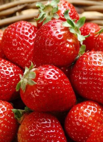 300PCS Giant Strawberry Seeds Everbearing Fragaria Fruit Seeds