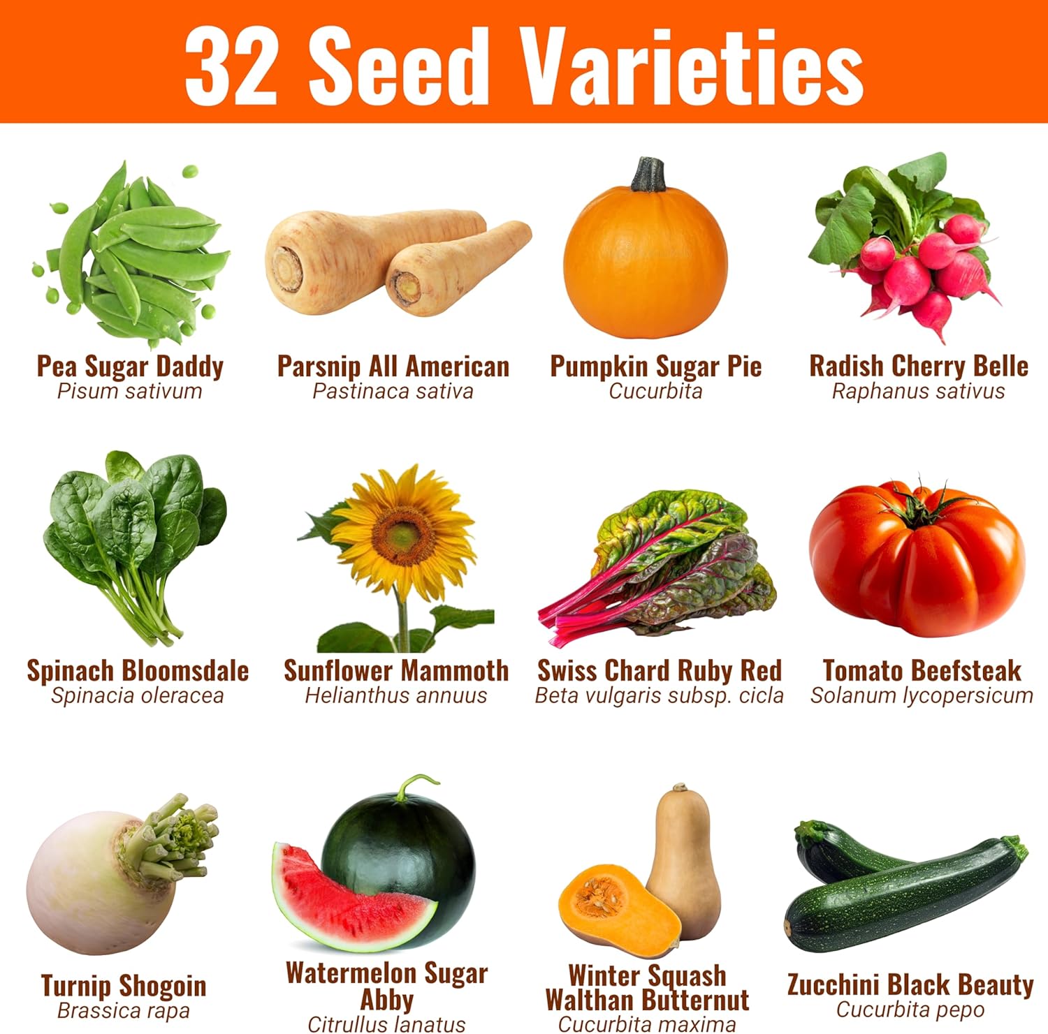 Open Seed Vault |15,000 Heirloom Seeds | 32 Seed Types | Survival Seeds | 2026 Season | Non GMO Vegetable and Fruit Seeds | Planting Outdoor & Indoor Garden - Image 3