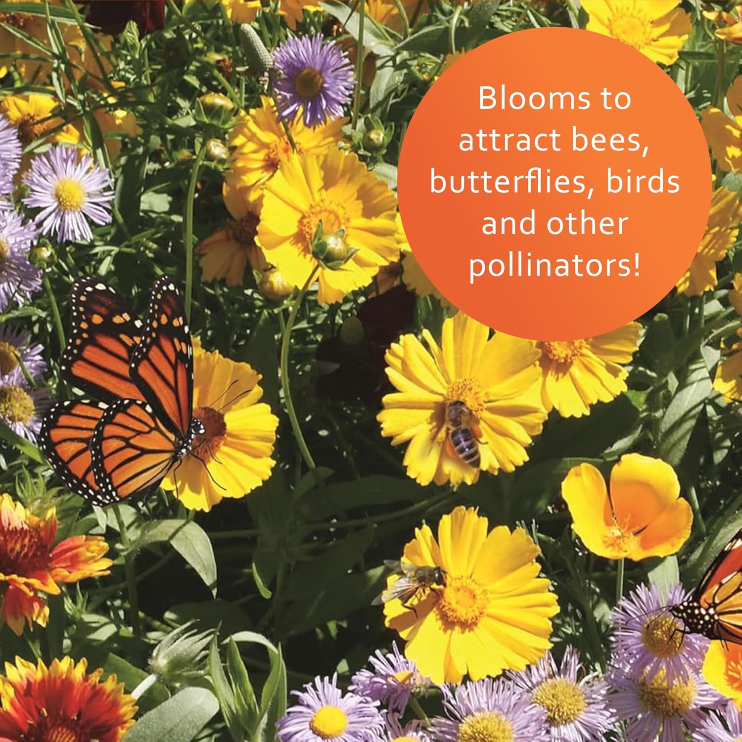 Earth Science Wildflower Pollinator Mix - 6lb, Over 56,000 Seeds, 3-in-1 Mix of Wildflower Seeds, Plant Food, & Soil Conditioners for Bees, Hummingbirds, Butterflies, Non-GMO, Up to 1,000 Sq. Ft. - Image 4