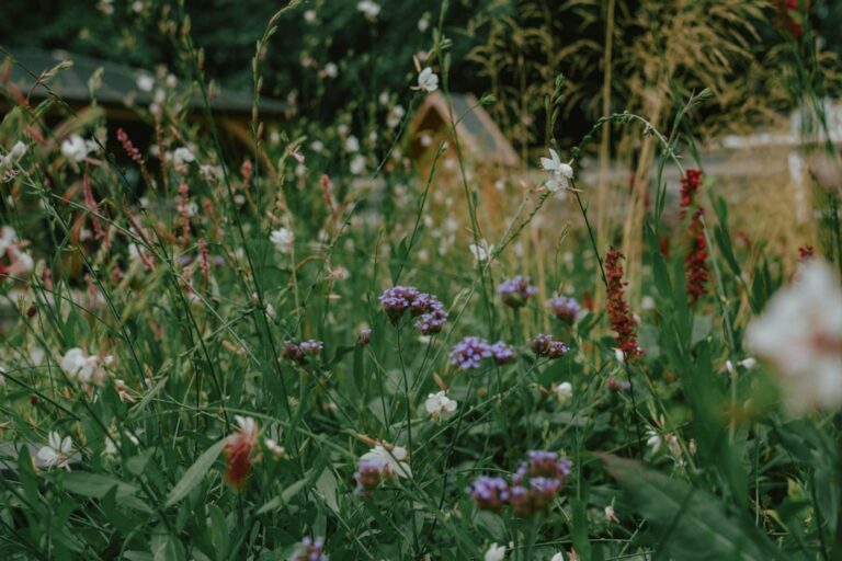 Essential Tips for Creating a Sustainable Home Garden