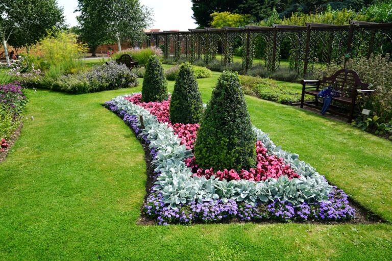 Maximize Your Harvest with Our Top Gardening Techniques