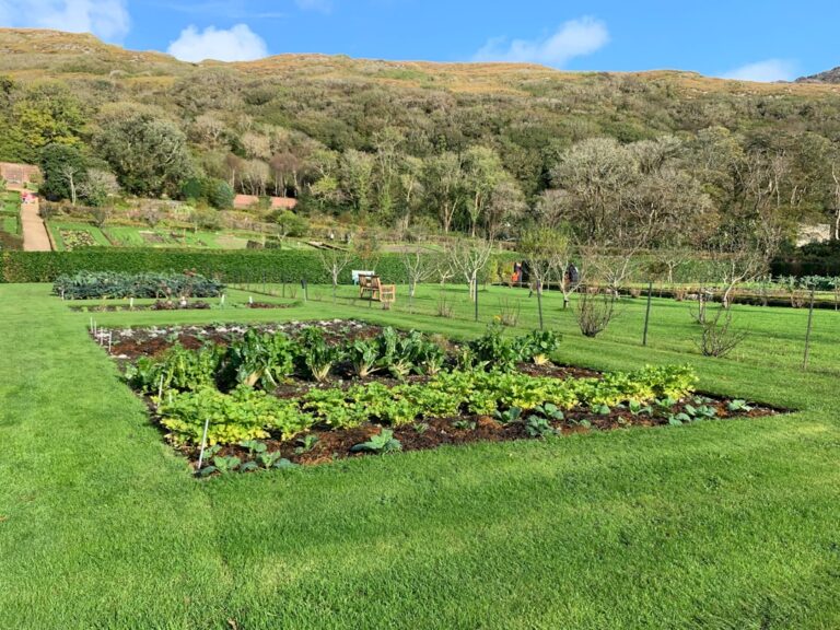 Explore the Benefits of Organic Gardening Solutions Today